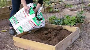 Texas home and garden is a small home improvement which competes against other home improvement like home depot, costco and grubhub. How Do I Start A Small Vegetable Garden In Texas Youtube