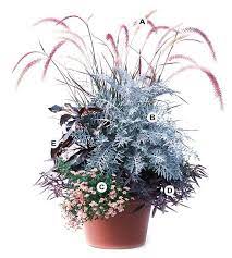 36 Container Garden Recipes For A Stunning Display Container Plants Container Flowers Container Gardening