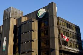 Jailyn Ojeda XX - delving into her adult world