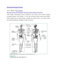 Berdasarkan komponen penyusunnya tulang dibedakan menjadi tulang rawan dan tulang keras. No Comments Kirimkan Ini Lewat Email Blogthis Berbagi Ke Twitter Berbagi Ke Facebook