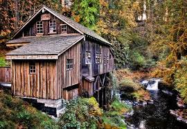 It has been a crazy Cedar Creek Mill Washington