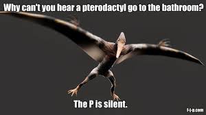 Here you will find memes with an image of a dinosaur captions with funny saying and jokes about various things. Best Dinosaur Memes Of The Internet