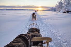 Finni +‎ land, from old norse finnland. Finnland Ein Winter In Lappland Geo
