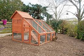 Réglementation des poulaillers mobiles ou fixes. Poules Au Jardin Que Dit La Reglementation Gamm Vert
