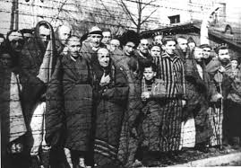 Résultat de recherche d'images pour "auscwitz"