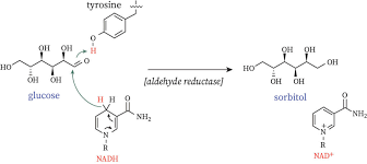 Image result for Sorbitol