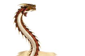 3dfoin Dragon Worm Animated Dragon Dragon Graphic Illustration