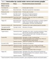 Cranial Nerve Testing Chart Table 2 Innervation By