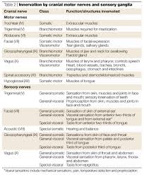 cranial nerve testing chart table 2 innervation by