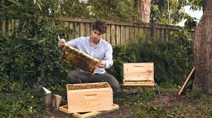 Installer Une Grille A Reine Apiculture Abeille Apiculteur