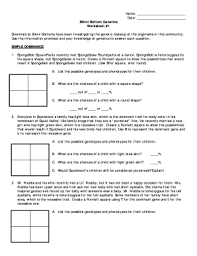 His parents are somewhat distant but seem generally supportive. Bikini Bottom Genetic Fill Online Printable Fillable Blank Pdffiller
