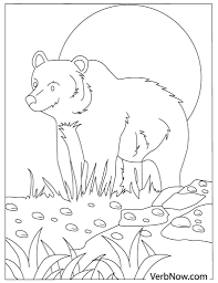 Set off fireworks to wish amer. Free Bear Coloring Pages For Download Printable Pdf