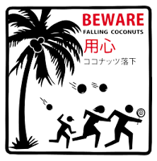 Death By Coconut Wikipedia Kill the body and the head dies. death by coconut wikipedia
