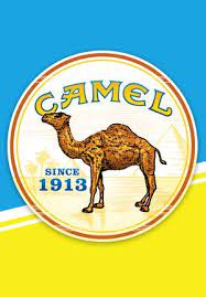 How many camels for your boyfriend? Pin On My Favorite Brands