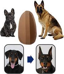 Amazon | KESOTO 犬の耳スタンドステッカーペット大型犬勃起耳ケアツール, 6x3cm | KESOTO | 耳のケア 通販