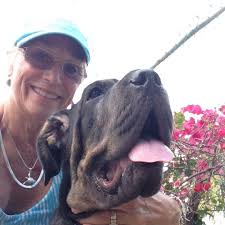 Animals provide joy and stability