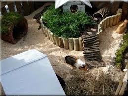 Epingle Sur Guinea Pig Cages