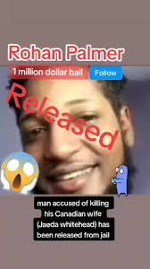 Rohan palmer released from jail after paying his bail of 1 million dol...
