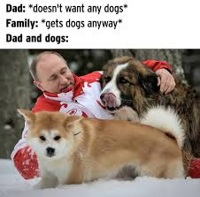 I also understand that he named it liddle. Ah Putin And The Dogs Memes