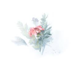 Maybe you would like to learn more about one of these? Watercolor Flower Pictures Download Free Images On Unsplash