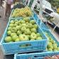 Goleta Farmers Market event in Goleta, CA
