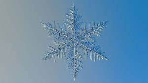 Avec ces jolis cadres photo de ❅cadres photo flocons de neige❅ app, vous pouvez profiter de la neige de noël avant qu'il ne tombe réellement. Photo Fougere Ou Flocon De Neige