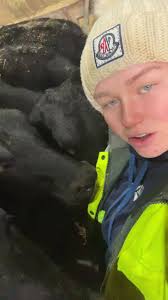 Nativity and wagyus 🔛🔝 #fyp #agri #wagyu #yourfavblondegirl #cows