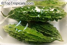 Image result for Momordica pterocarpa