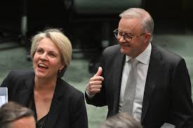 Albanese's Plibersek problem | The Saturday Paper