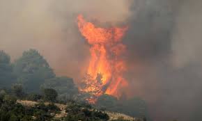 Η πυρκαγιά εκδηλώθηκε τα ξημερώματα της κυριακής. Pyrinh Kolash Sth Xalkidikh H Fwtia Kyklwnei Th Sarth Egkataleipoyn Ta Spitia Toys Oi Katoikoi Newsbomb Eidhseis News