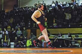 Lakeview's Breese wins region mat crown