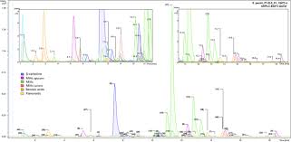 Image result for Strychnos gossweileri