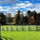 Yoga for Equestrians with Courtney Colella event in Kensington, NH