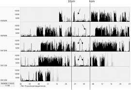 Image result for Actigraphy