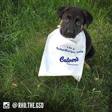 It has a garden center and greenhouse that offers a variety of pottery and decorative items and lawn maintenance tools. The Cutest Dogs Share Love For Culver S Culver S