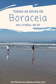 uma praia extensa tranquila e perfeita para criancas em 2020 viagem com criancas praias de sp praias do brasil uma praia extensa tranquila e perfeita