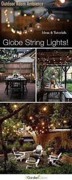 Pin On Garden Ideas