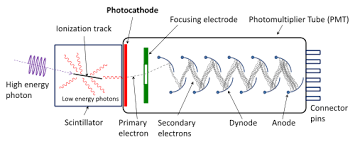Looking for online definition of pmt or what pmt stands for? Photomultiplier Tube Wikipedia