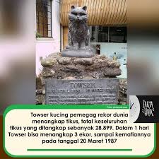 Towser Kucing Pemegang Rekor Dunia Menangkap Tikus Di 2020 Kucing Tikus Instagram