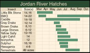 Jordan River Hatch Chart Chart Manistee River Fly Fishing