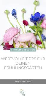Fruhlingsbluher Erfreuen Im Garten Balkon Ideen Pflanzen Balkonpflanzen Pflegeleicht In 2020 Balkon Pflanzen Pflanzen Fruhling Blumen