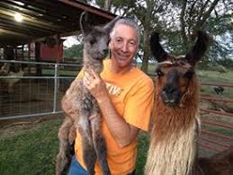 Download Spooky Llama Trails Tales