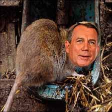 Image result for Twists In The Wind