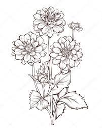 Vector Flower Isolated On White Background Element For Design Dahlia Flower Hand Drawn Contour Lines Flower Drawing Flower Line Drawings Hand Drawn Flowers