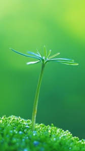 When you boot your computer, there is an initial screen that comes up, in which your folders, documents, and software shortcuts are placed. 4k Wallpapers For Android Mobile Full Screen 806x1433 Wallpaper Teahub Io