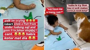 Check spelling or type a new query. Bikin Terharu Kucing Ini Curi Ikan Goreng Untuk Diberikan Ke Bayi Lapar