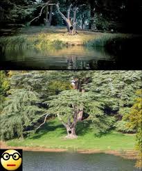 Blenheim Palace Site 29 In Harry Potter Places Book 2 And 20 Minutes North Of Oxford Is Assigne Harry Potter Places First Harry Potter Location Inspiration