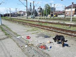 Un adolescent de 16 ani a dispărut în zona gara de sud. Imagini Dezolante La Gara De Sud Din PloieÈ™ti Mizerie È™i SÄƒrÄƒcie Lucie Observatorul Prahovean