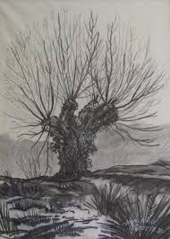 Knotwilg Houtskool Tekening Houtskooltekeningen Bomen Tekenen Landschap Tekeningen