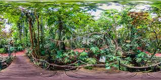 The botanischer garten marburg (20 hectares), also known as the neuer botanischer garten marburg, is a botanical garden maintained by the university of marburg, located on. Botanischer Garten Marburg Gewachshauser Botanischer Garten